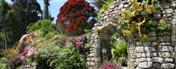 Tresco Abbey Garden